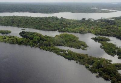 Ibama analisa possível vazamento de petróleo na Costa Amazônica