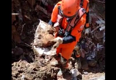 Vídeo: gato é resgatado com vida após nove dias soterrado em Petrópolis
