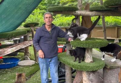 Incêndio destrói abrigo de gatos em Nova York e mata fundador e mais de 100 felinos