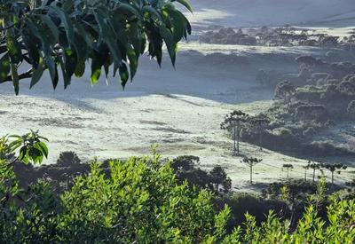 Serra de Santa Catarina tem geada em novembro; veja fotos