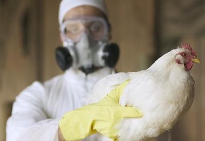 EUA confirmam segundo caso de gripe aviária em humano