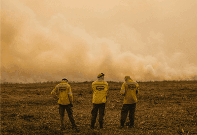 Força Nacional mobiliza 80 bombeiros para combater incêndios florestais no Pantanal