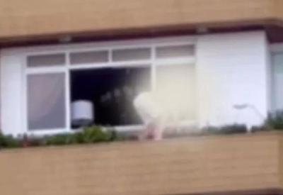 Vídeo flagra idoso cuidando de jardim do lado de fora de prédio em SC