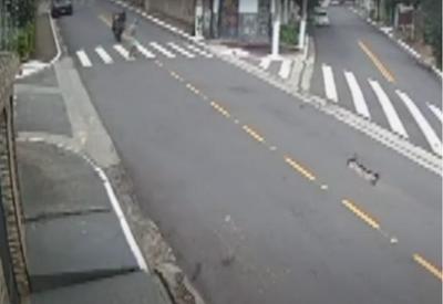 Polícia pede prisão de homem que empinou moto e matou idoso atropelado em SP