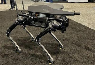 Cidade de São Francisco aprova uso de 'robôs assassinos'