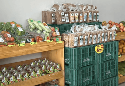 Produtores de alimentos orgânicos comemoram aumento nas vendas
