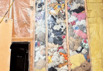Homem encontra 115 bichos de pelúcia atrás de parede e começa a doá-los ao redor do mundo