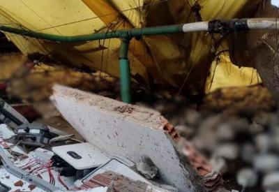 Vídeo: microexplosão em aviário de SC mata 14 mil aves