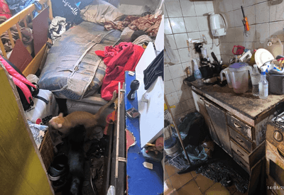 Idosa é resgatada em situação de maus tratos e abandono em SP 