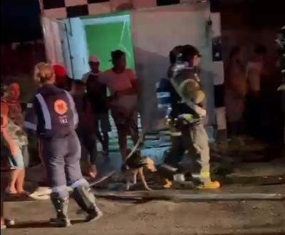 Incêndio em casa deixa quatro cachorros mortos em São Paulo