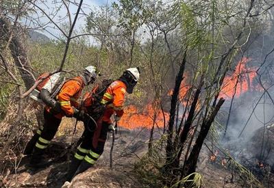 Incêndio destrói 3 mil hectares na Chapada dos Veadeiros e ameaça Parque Nacional