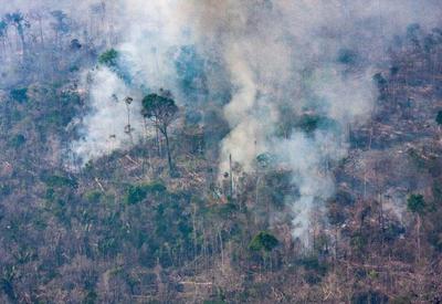 Amazônia: incêndios em florestas públicas não destinadas aumentam 64% em 2024