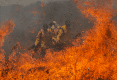 Quase um quarto do Brasil pegou fogo entre 1985 e 2023, diz estudo do MapBiomas