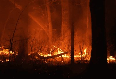 Incêndio florestal faz mais de três mil deixarem suas casas em Nova Jersey, nos EUA