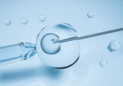 Segundo maior grupo religioso dos Estados Unidos se opõe à fertilização in vitro