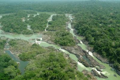 Câmara aprova redução da Floresta Nacional do Jamanxim em área protegida da Amazônia