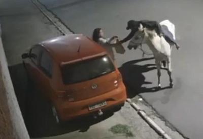 Vídeo: ladrão em cavalo branco assalta pedestres em Pernambuco