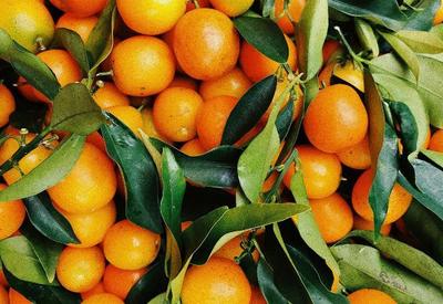 Suco de Laranja,aeronaves civis, petróleo: Casa Branca divulga lista de produtos brasileiros que não serão taxados