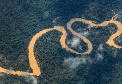 Justiça dá 30 dias para União apresentar novo plano contra garimpo em Terra Indígena Yanomami