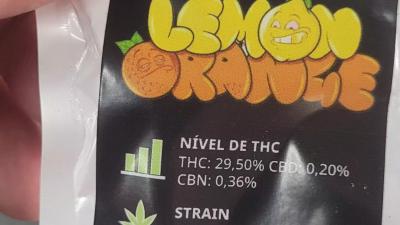 Suspeito é preso com "maconha gourmet" em Campinas