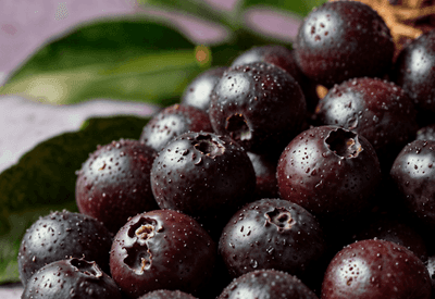 Jabuticaba é eleita a 10ª melhor fruta do mundo; saiba benefícios para a saúde