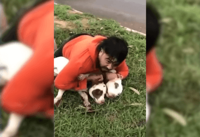 "Achei que ia morrer": Lutador de muay thai imobiliza dois pitbulls após ataque 