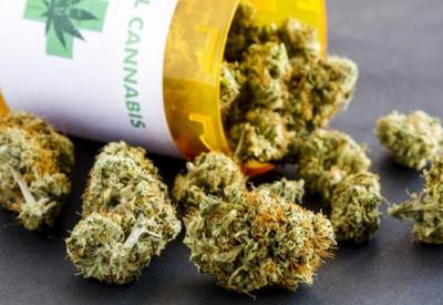 Anvisa proíbe importação de flores de maconha para uso medicinal