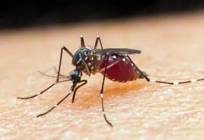 Malária é detectada em meio a surto de doença misteriosa que vem causando mortes no Congo