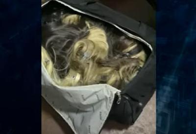 Polícia prende acusados de roubar mais de R$ 500 mil em mechas de cabelo