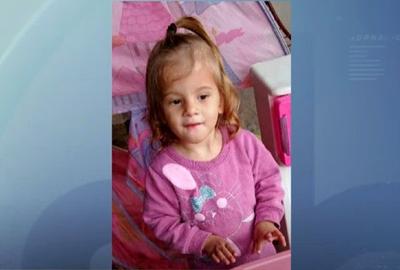 Menina de 2 anos morre após ataque de pitbull da família em Hortolândia (SP)