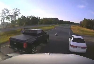 Vídeo: Motorista causa acidente ao tentar salvar tartaruga em rodovia