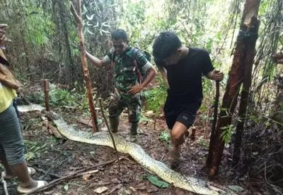 VÍDEO: Outra mulher é encontrada morta dentro de cobra píton na Indonésia