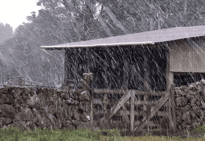 Neve é registrada pela primeira vez em 2025 no Sul do Brasil