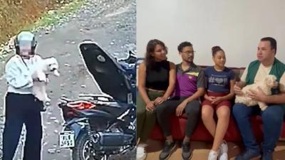 Cão que correu atrás de tutora após ser abandonado em SC ganha nova família