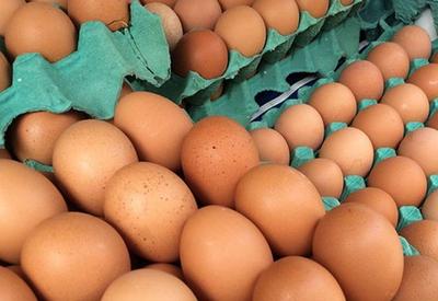 Surto de salmonella deixa mais de 20 pessoas hospitalizadas nos Estados Unidos