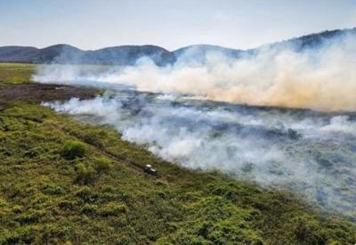 Área alagada do Pantanal diminui 61% em 35 anos, aponta MapBiomas