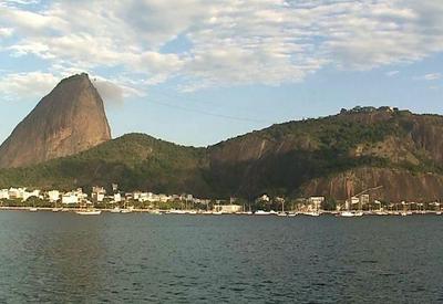 Pesquisadores confirmam presença de onça parda na zona oeste do Rio