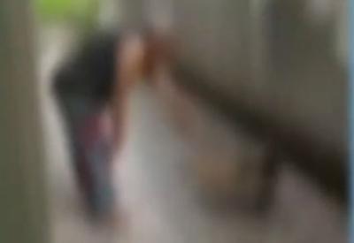 Idosa é filmada pela filha agredindo papagaio em MG