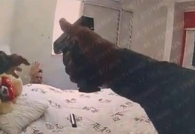 Imagens mostram PM executando jovem rendido em Paraisópolis