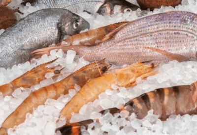 1.500 toneladas de pescados deixam de embarcar do Brasil para os Estados Unidos
