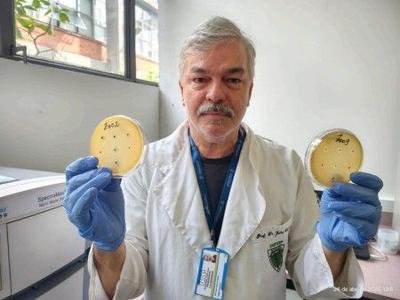 Pesquisa no Brasil descobre mais de 60 vírus que matam bactérias resistentes a antibióticos