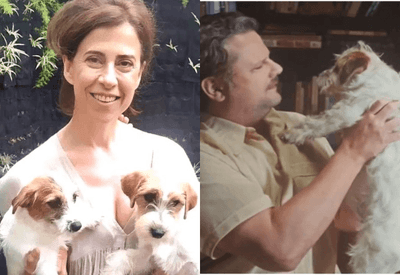 Cães do filme "Ainda Estou Aqui" vencem prêmio no Oscar canino