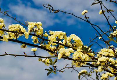 Quando começa a primavera? Entenda o que acontece durante o equinócio