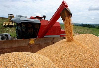 Brasil terá safra recorde de grãos em 2022: 270 milhões de toneladas