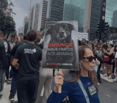 Manifestação na Avenida Paulista pede justiça pela morte do cão Orelha
