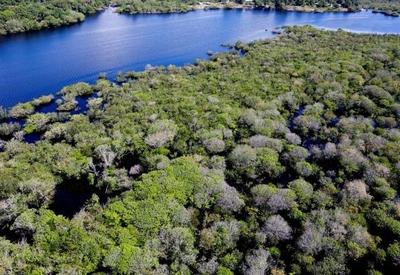 Governo e BNDES lançam edital de R$ 150 milhões para reflorestar áreas em assentamentos da reforma agrária