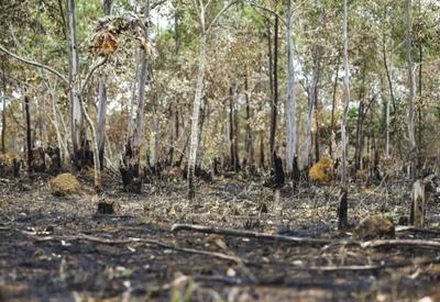 SBT News na TV: Governo entra com primeira ação por danos climáticos contra a Amazônia