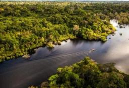 imagem da notícia SBT News ao vivo: Ibama avança etapa para exploração de petróleo na Bacia da Foz do Amazonas