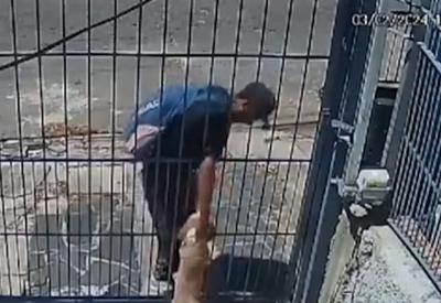 Cachorro é roubado por criminoso em Porto Alegre; veja vídeo 