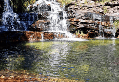 Criança de 8 anos é atacada por onça-parda na Chapada dos Veadeiros (GO)